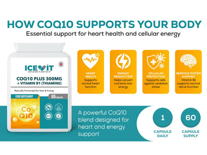 ICEVIT CoQ10 Plus supplement bottle with supporting text about health benefits on a white background